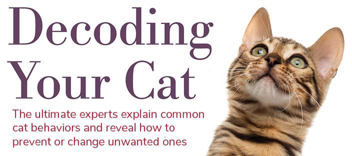 Decoding Your Cat