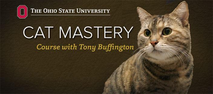 Cat Mastery iTunes U Course